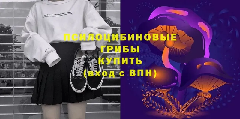 Галлюциногенные грибы MAGIC MUSHROOMS  Навашино 